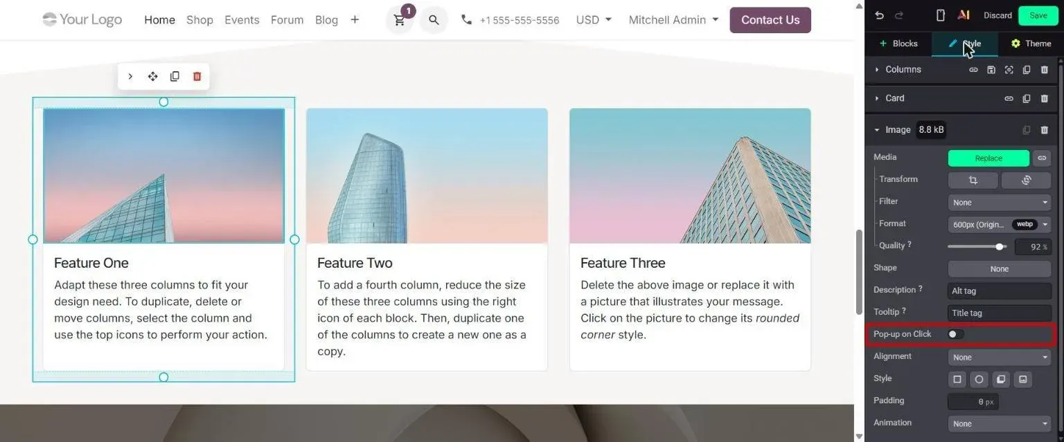 Image Style options with Pop-up on Click toggle