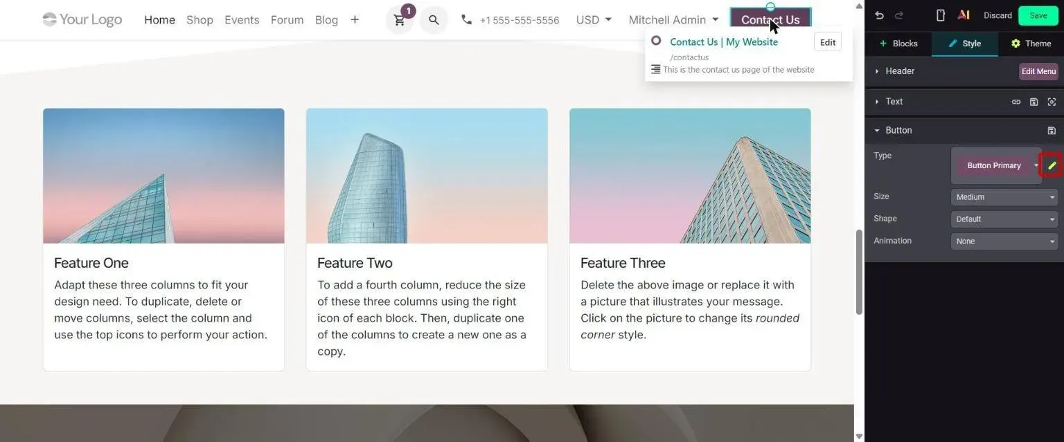 Button Style options: pencil next to Type edits theme button styles