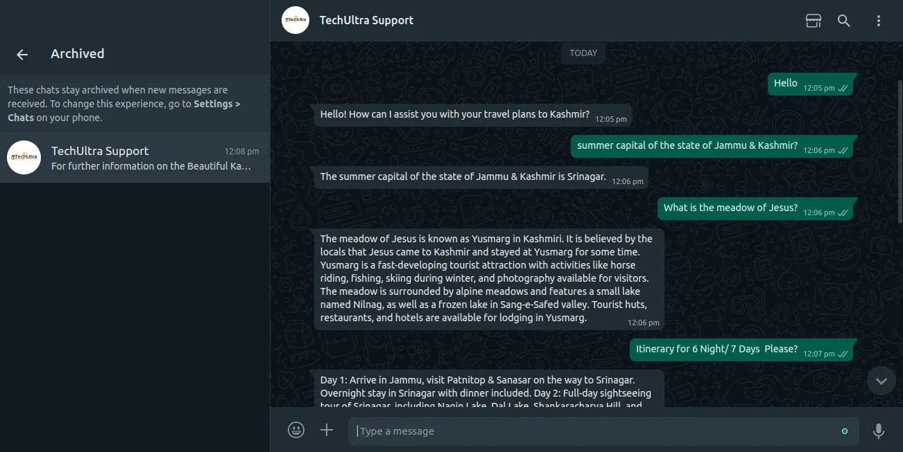 AI WhatsApp Chatbot channel history in Odoo Enterprise