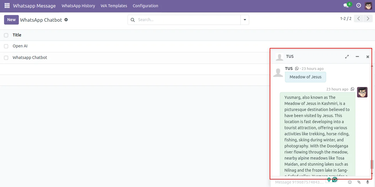AI WhatsApp Chatbot channel history in Odoo