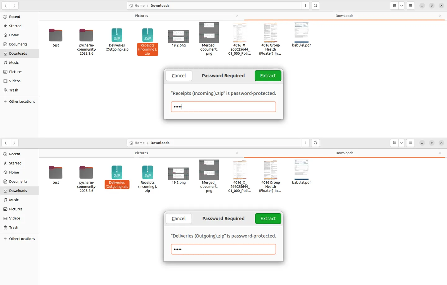 Export Receipts/Deliveries wizard with password protection field