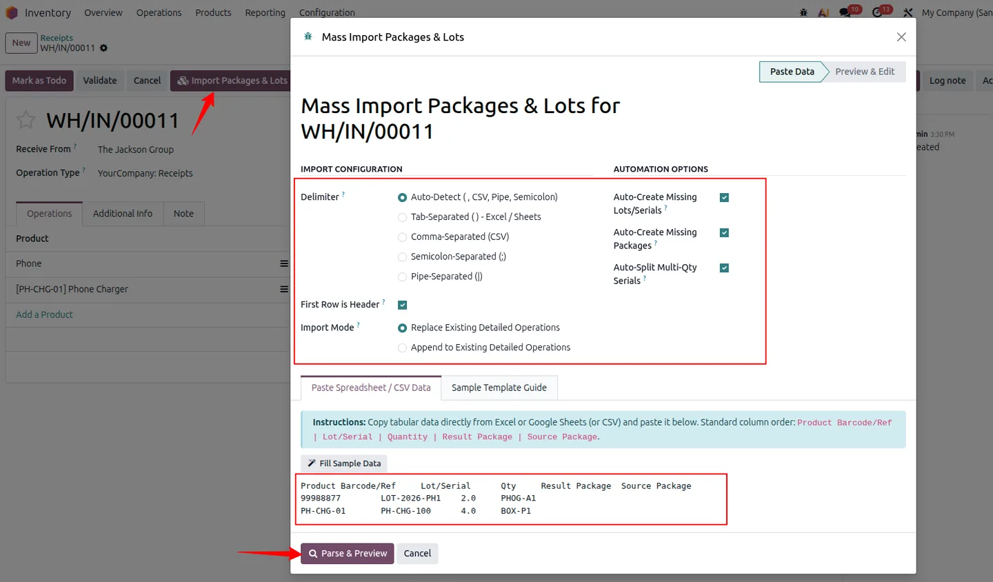 Mass Import Packages & Lots wizard on a receipt, with delimiter options, automation options and pasted spreadsheet rows