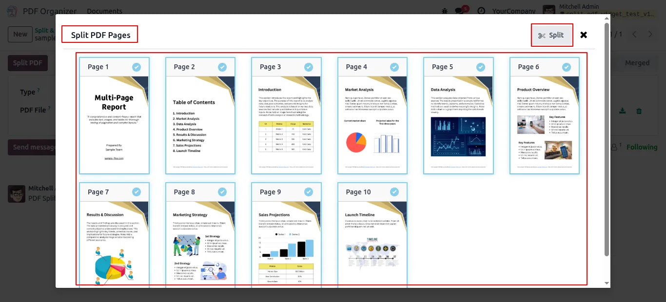 Previewing a PDF before splitting it inside Odoo