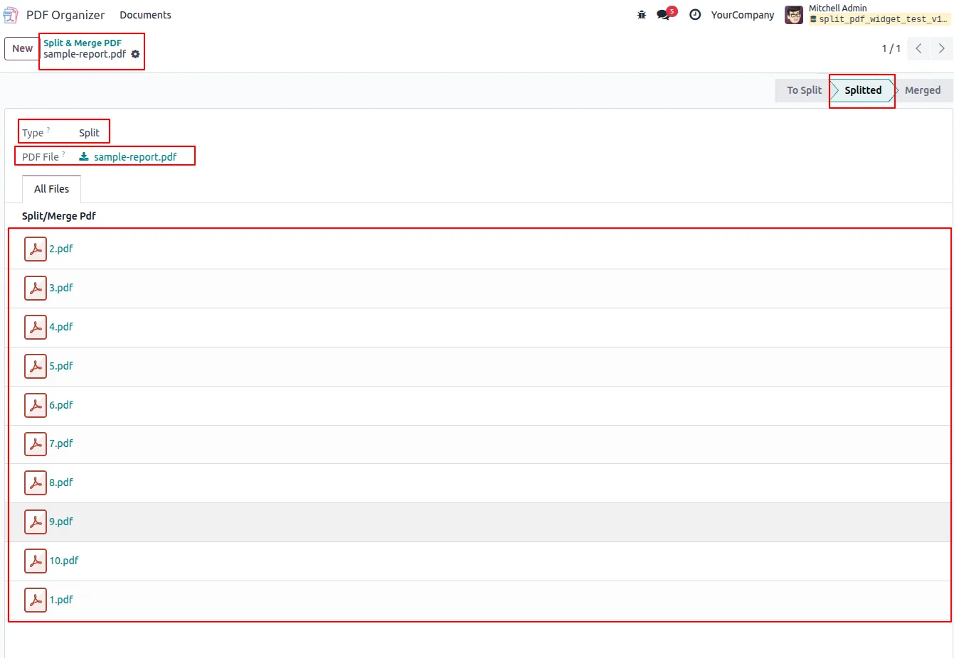Split PDF output generated by the Odoo module, ready to download