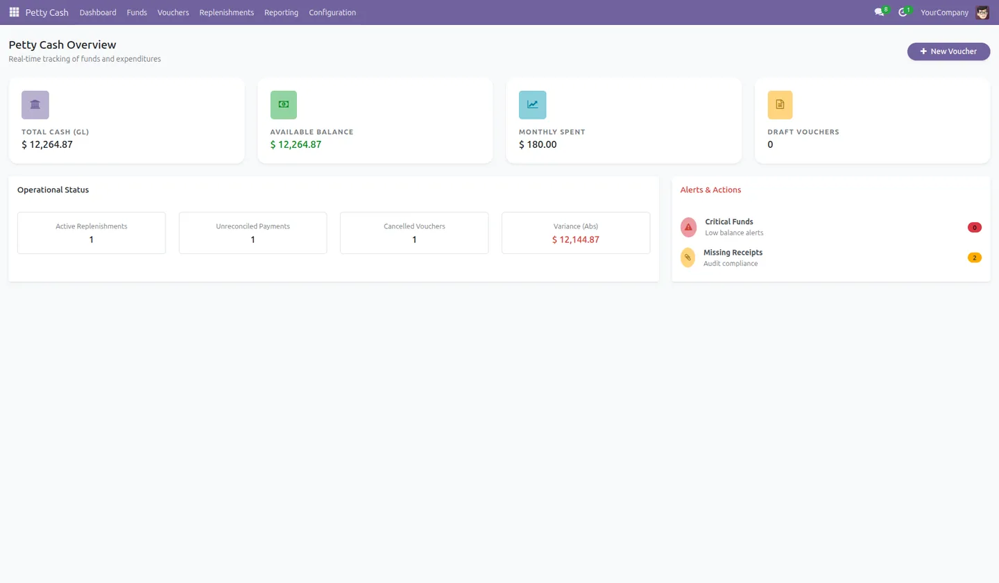 Petty cash real-time dashboard with total cash, balances, and fund alerts in Odoo