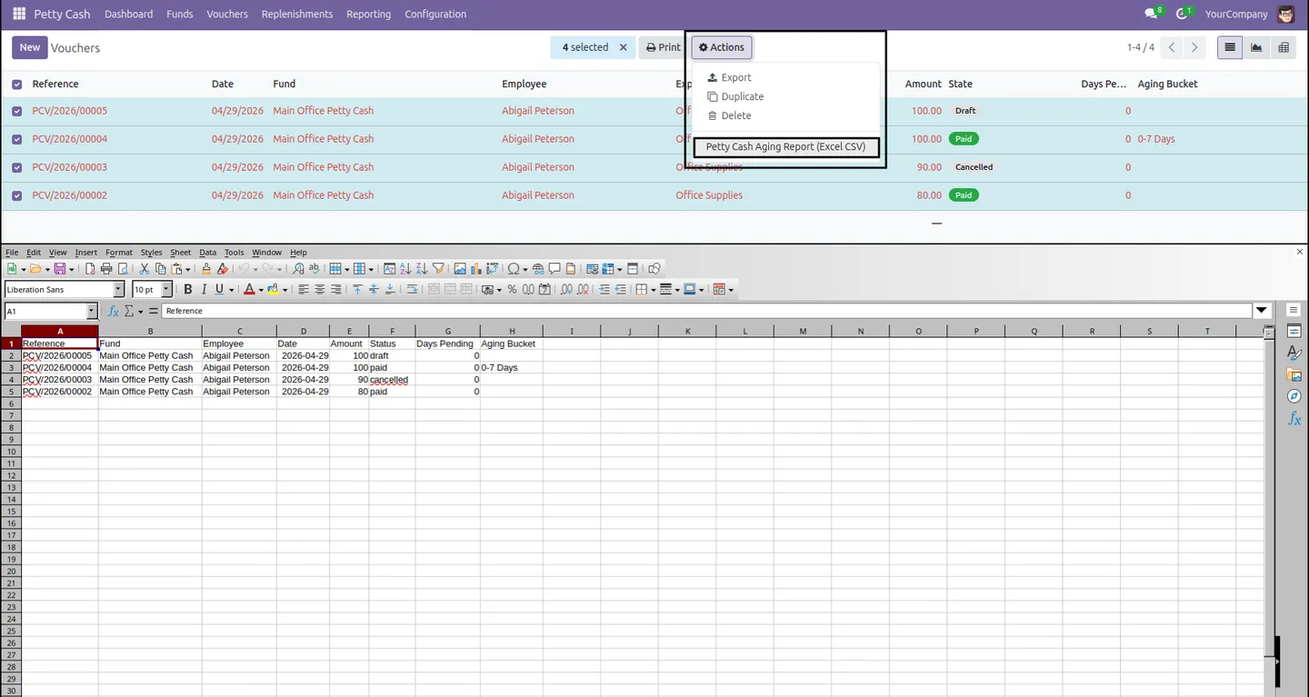 Excel/CSV petty cash report export