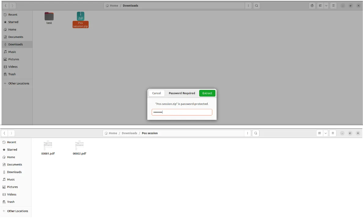 Wizard prompting for a ZIP password before generating the POS sales-details archive