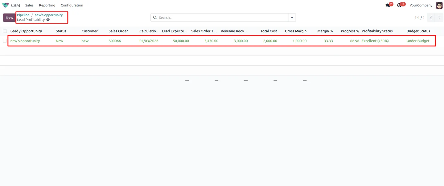 A detailed lead profitability record with revenue, cost, and margin in Odoo