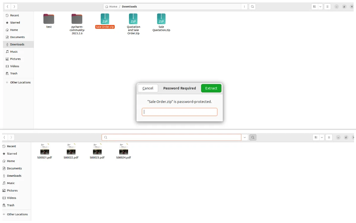 Sales order detail with the password-protected ZIP export action in Odoo