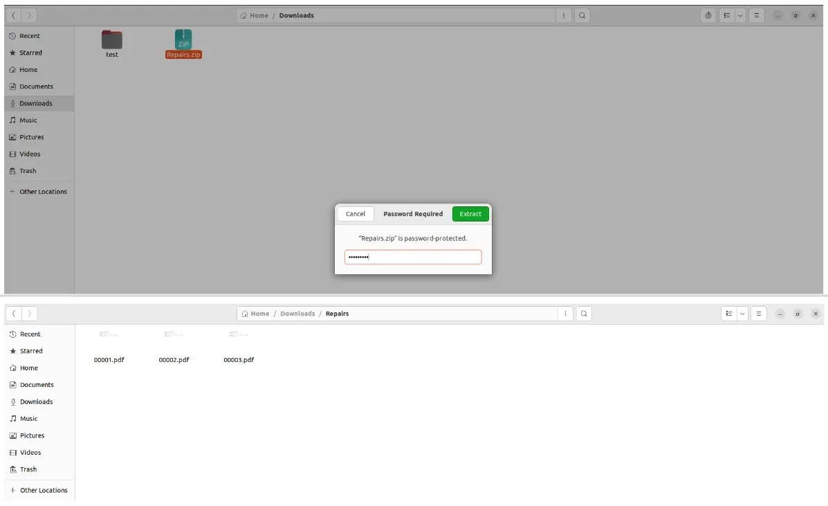 Password prompt when opening a Repair Order ZIP archive on the desktop