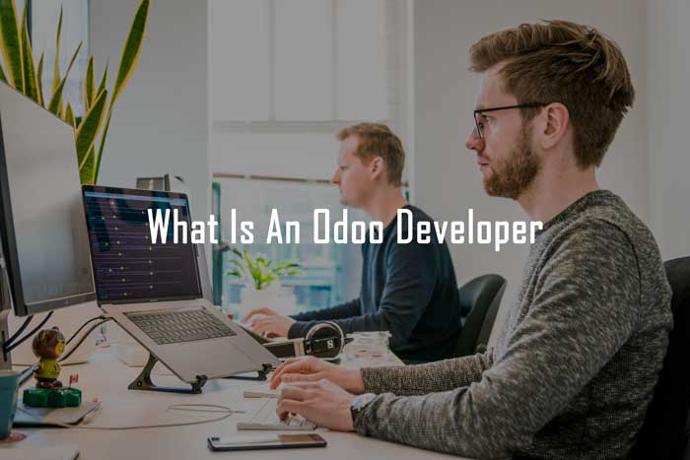What is An Odoo Developer