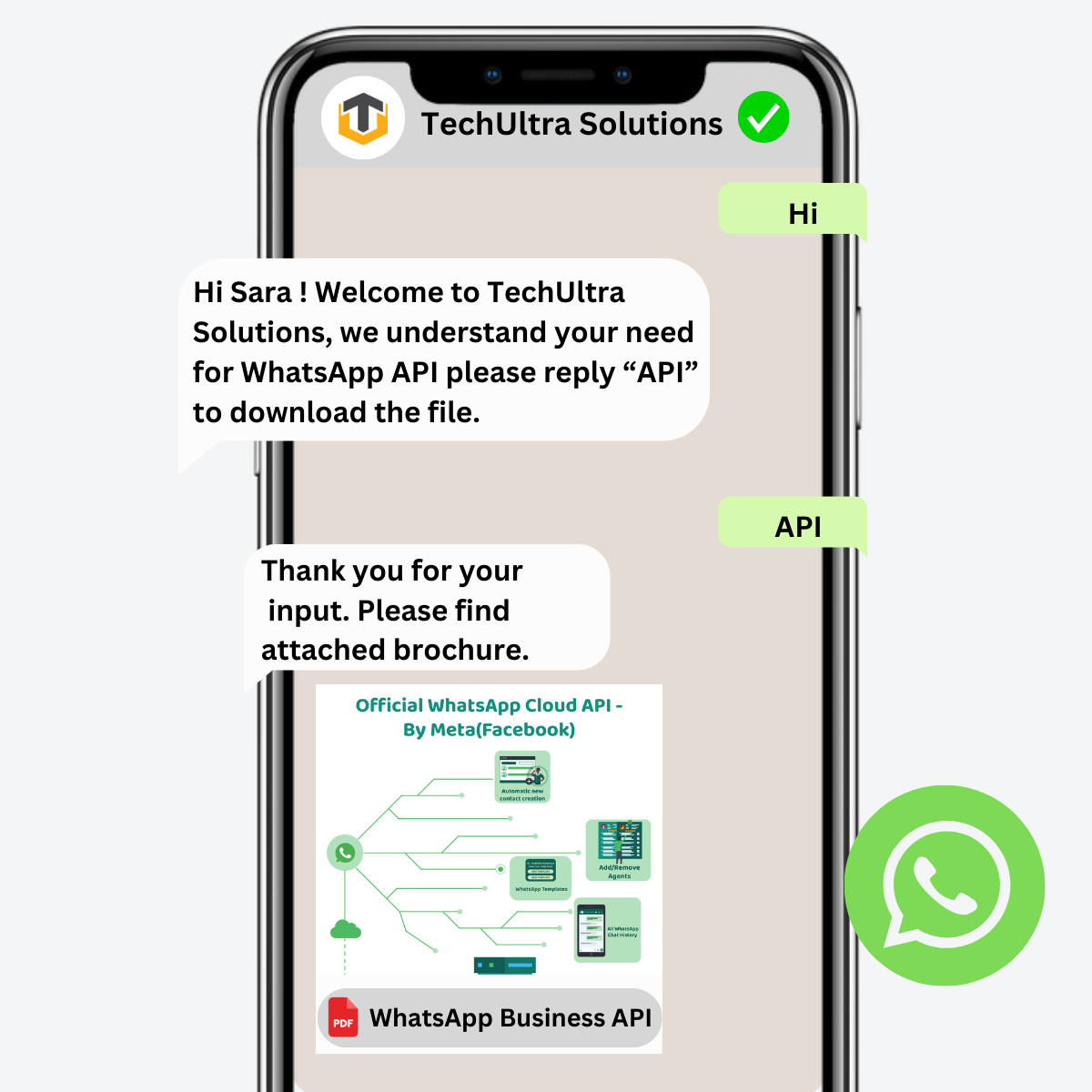 WhatsApp Business API Communication